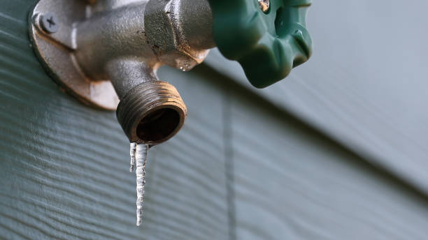 Best Best Plumbers Near Me  in West Columbia, SC